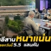 ศบค.-เผย-“ภาคอีสาน”-ตายเซ่นโควิดมากสุดในไทย-ส่วนมากเป็นผู้สูงอายุ